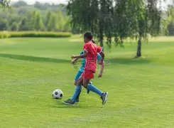 邓加揭秘,巴西足球灵,魂与欧洲球,PA真人娱乐官方网站,视频直播,免费试玩,PA,Gaming