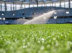 独家预告,月盛况,日本,PA真人娱乐官方网站,视频直播,免费试玩,PA,Gaming