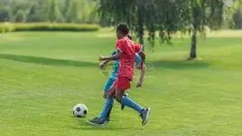 邓加揭秘：巴西足球灵魂与欧洲球员的差异，他们场上激情四溢，渴望每一刻的绿茵荣耀！