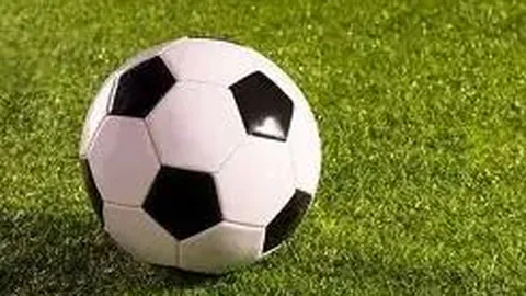 pa真人 资讯 101008 t2p